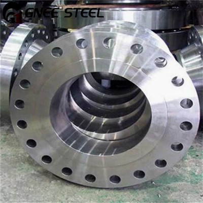 Hastelloy B -2 Flange