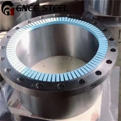 Flange DS Incoloy
